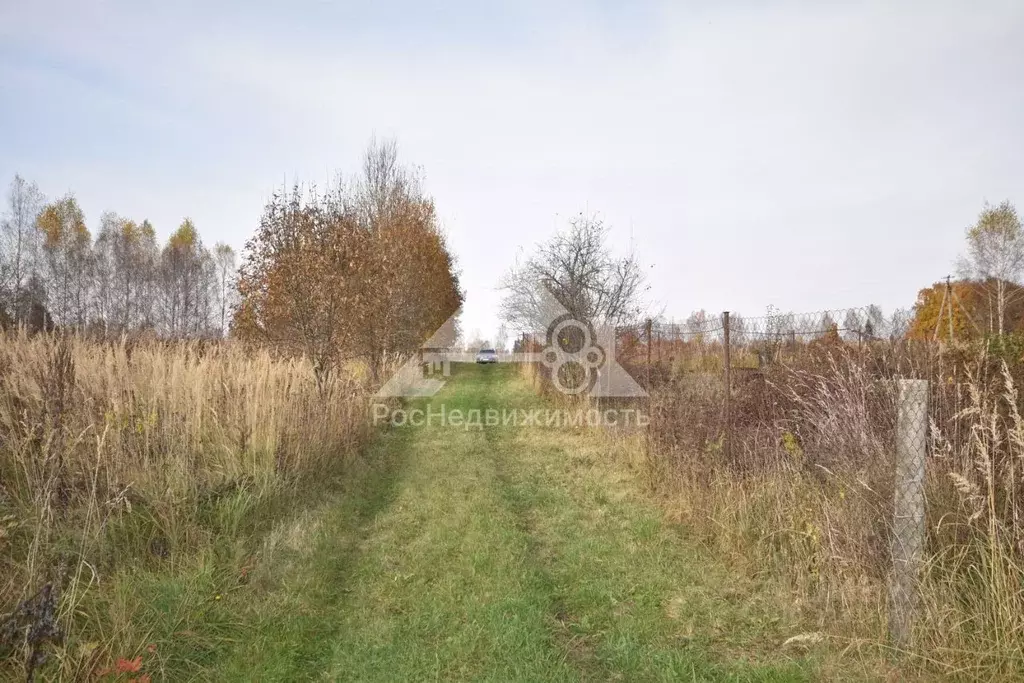 Участок в Владимирская область, Кольчугинский муниципальный округ, д. ... - Фото 2