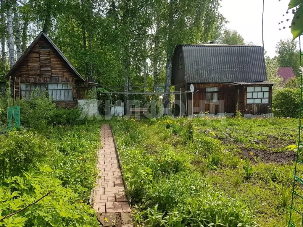 Дом в Новосибирская область, Мошковский район, Березка ДНТ  (32 м) - Фото 1