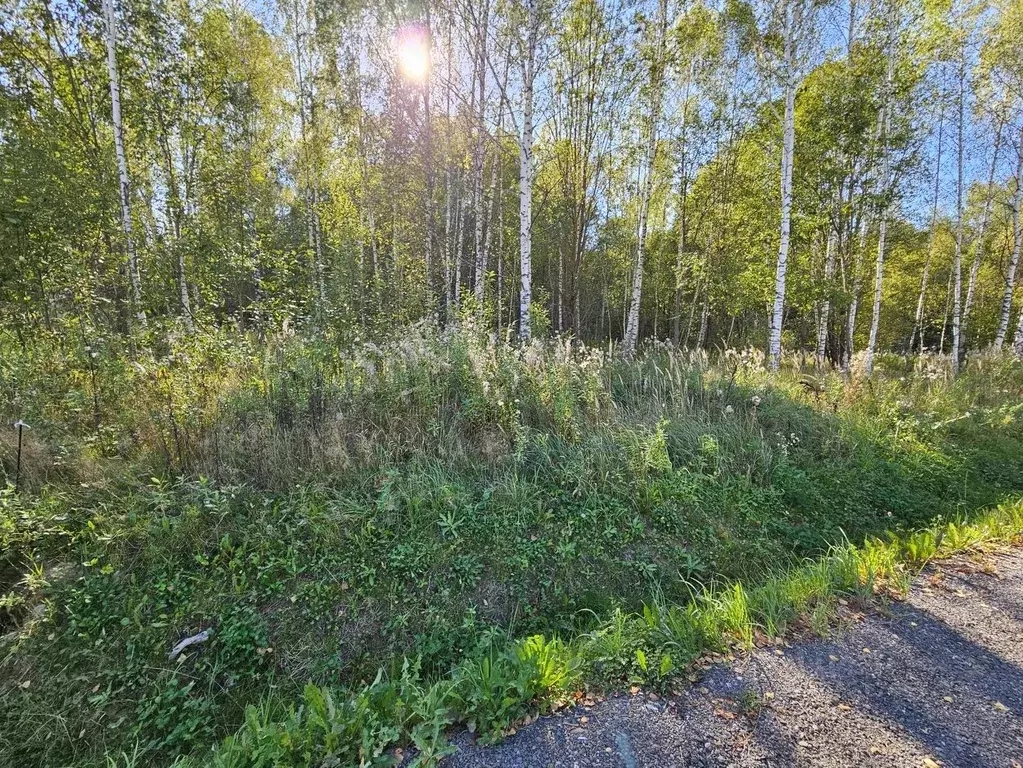 Участок в Московская область, Чехов городской округ, д. Никоново 17 ... - Фото 0