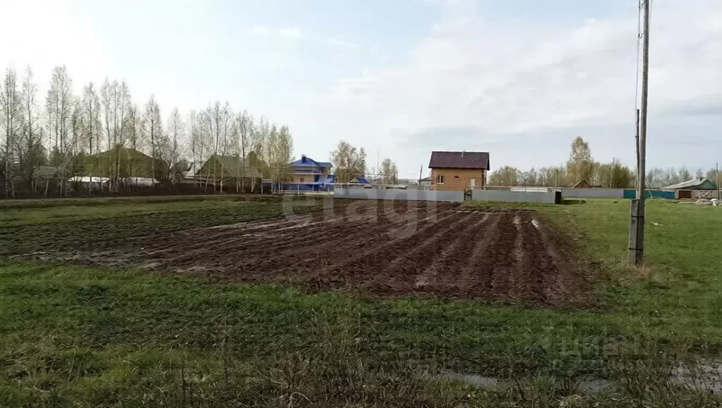 Участок в Марий Эл, Оршанский район, с. Великополье ул. Рябинина (22.5 ... - Фото 2