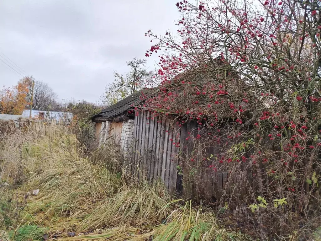 Дом в Брянская область, Жуковский муниципальный округ, с. Овстуг ул. ... - Фото 2