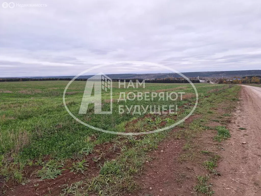 Участок в Пермский край, Кунгурский муниципальный округ (19.8 м) - Фото 1