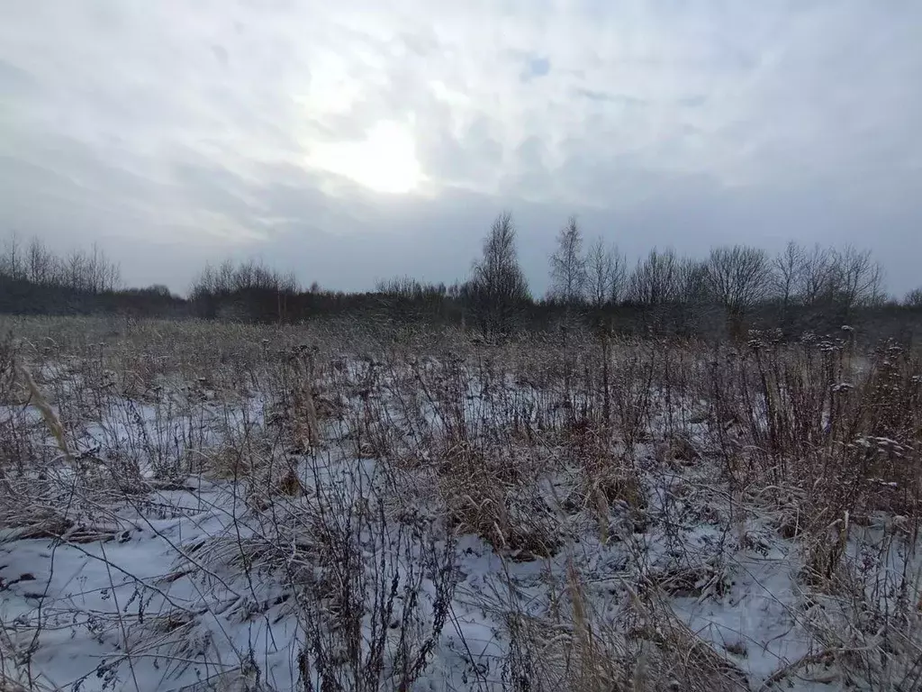 Участок в Московская область, Коломна городской округ, с. Нижнее ... - Фото 0