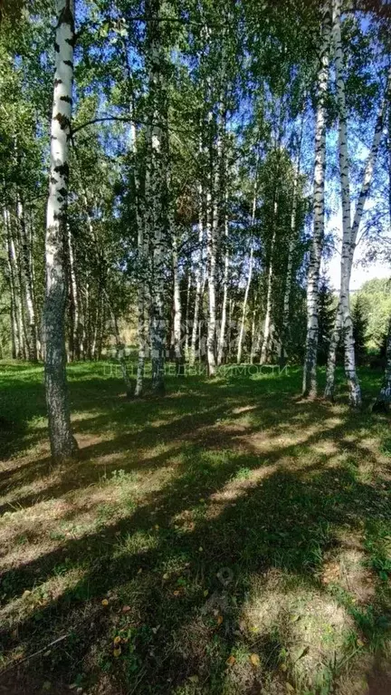 Дом в Владимирская область, Александров Швейник СДТ,  (31 м) - Фото 1