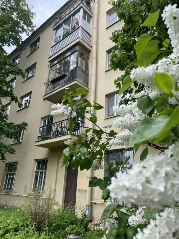 Комната Санкт-Петербург 2-й Рабфаковский пер., 1К1 (17.4 м) - Фото 1