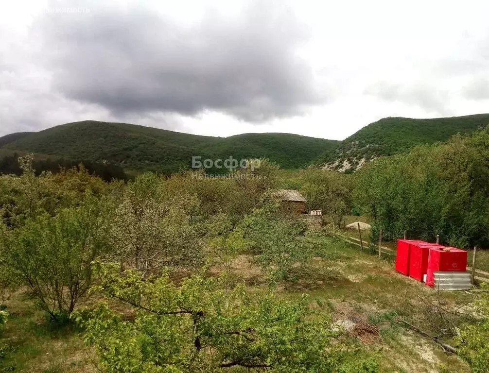 Дом в Белогорский район, Курское сельское поселение, село Тополевка, ... - Фото 1