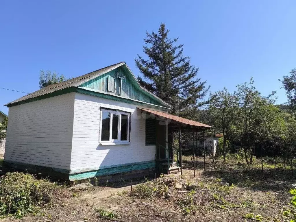 Дом в Саратовская область, Саратов Черемушка СНТ,  (31 м) - Фото 1