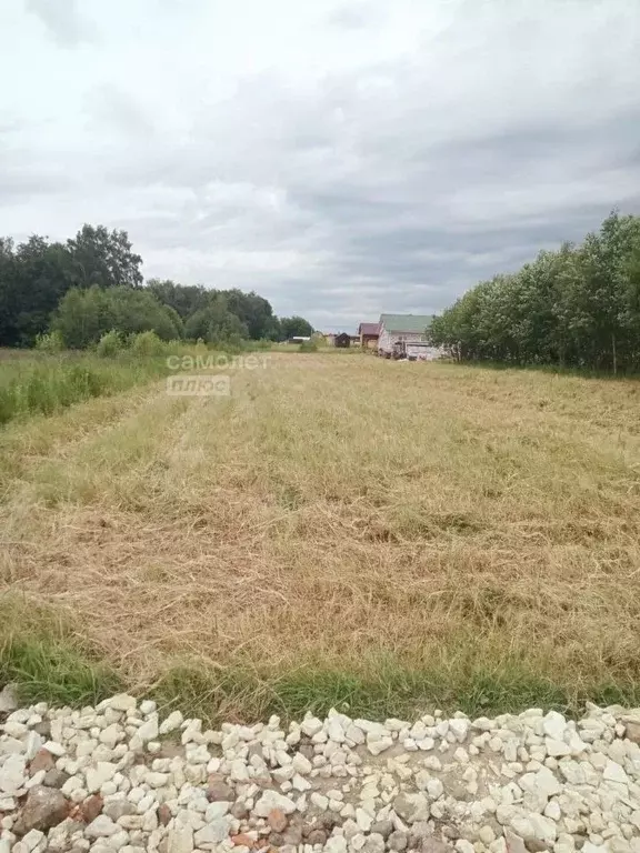 Участок в Московская область, Коломна городской округ, с. Акатьево  ... - Фото 1