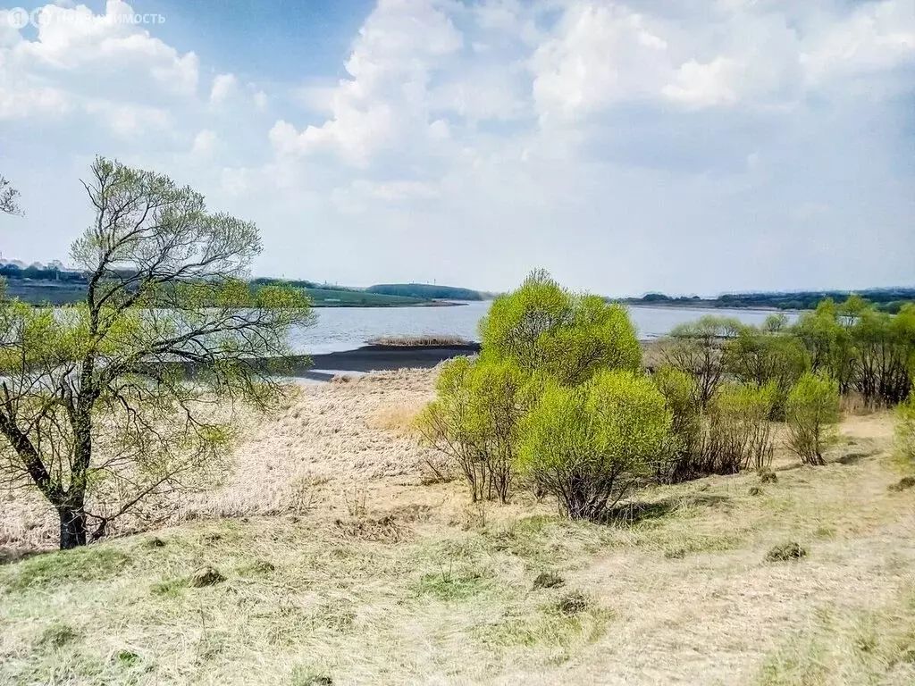 Участок в Тульская область, городской округ Новомосковск, деревня ... - Фото 0