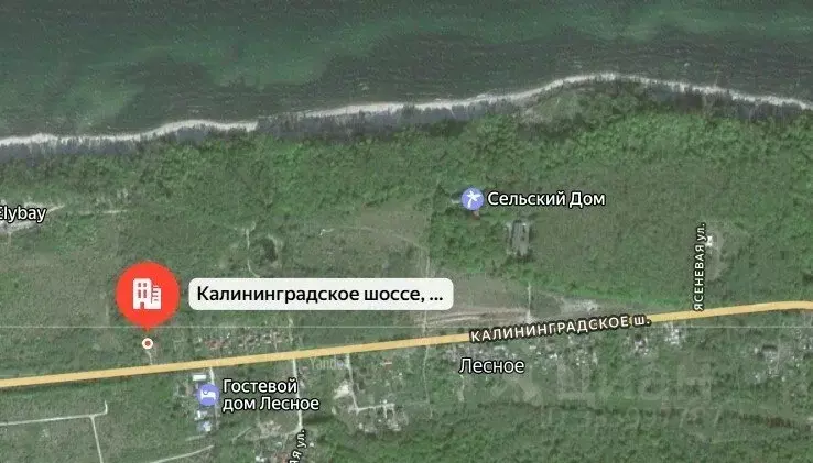 Участок в Калининградская область, Светлогорский городской округ, пос. ... - Фото 1