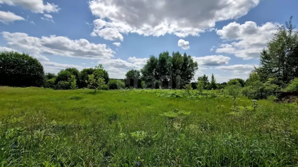 Участок в Владимирская область, Муром с. Борисово, ул. Подгорная (10.0 ... - Фото 2