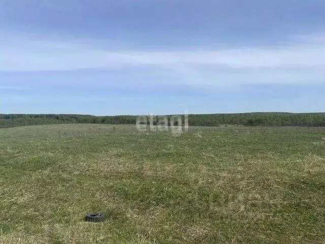 Участок в Смоленская область, Рославльский муниципальный округ, д. ... - Фото 0