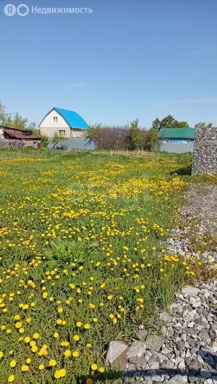 Участок в Ишим, Курганская улица (6.2 м) - Фото 2