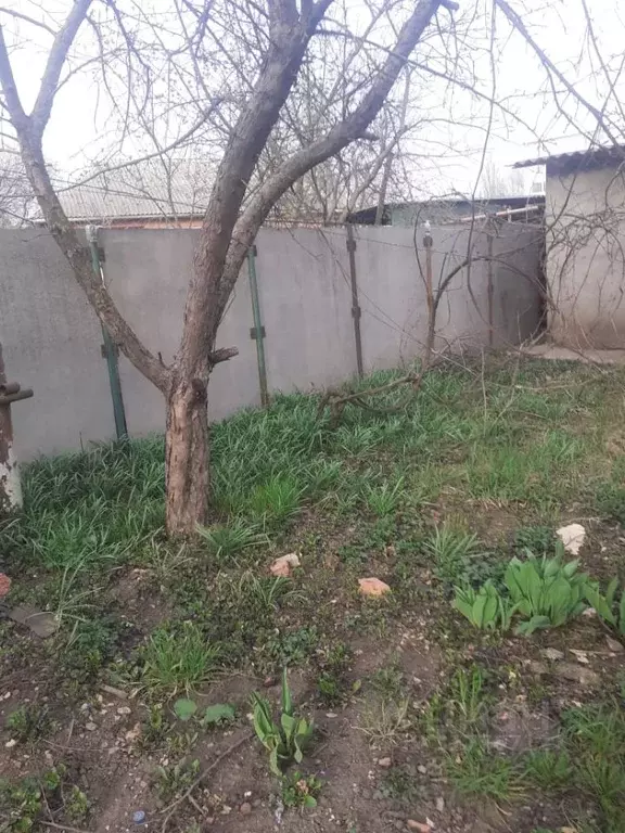 Дом в Ростовская область, Ростов-на-Дону Аксаец садовое товарищество,  ... - Фото 1