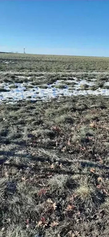 Участок в Белгородская область, Белгородский район, Дубовское с/пос, ... - Фото 1