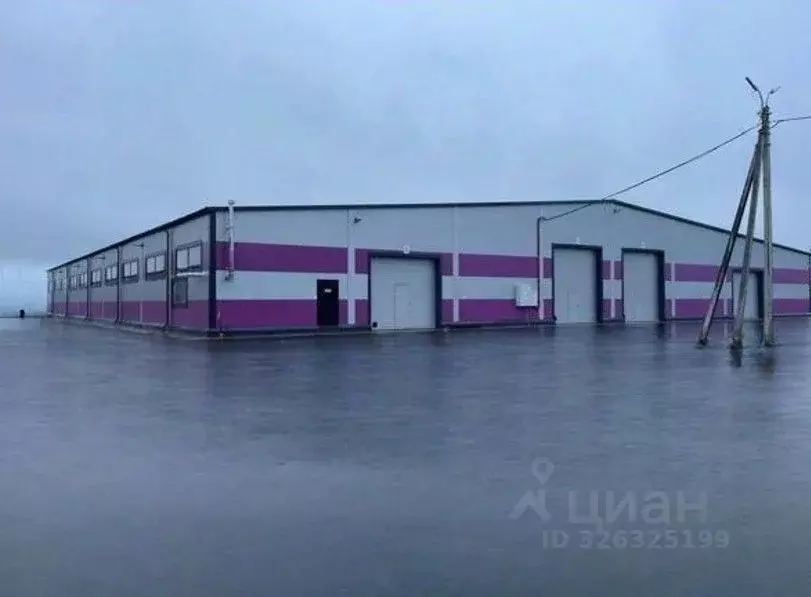 Производственное помещение в Ленинградская область, Всеволожский ... - Фото 1