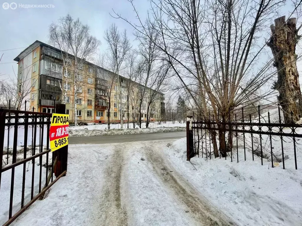 1-комнатная квартира: Бийск, улица Виктора Петрова, 25 (24.1 м) - Фото 1