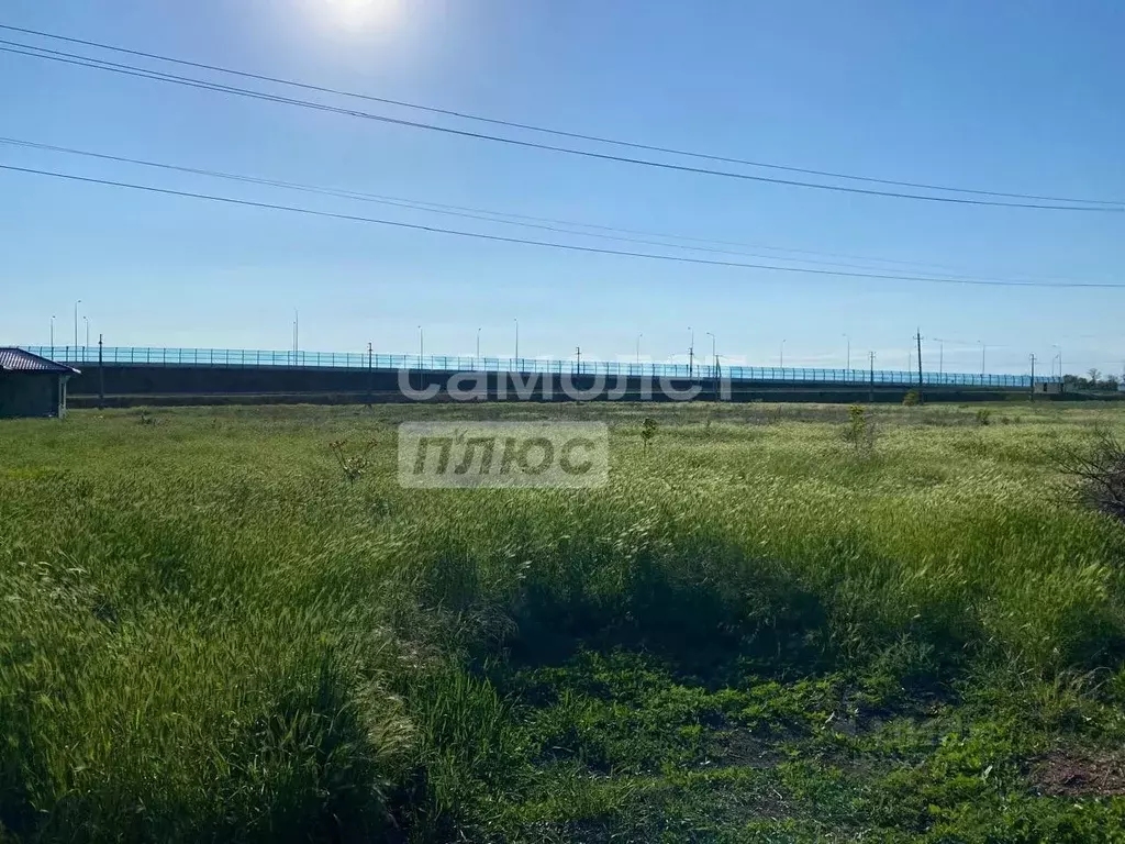 Участок в Краснодарский край, Анапа муниципальный округ, с. ... - Фото 1