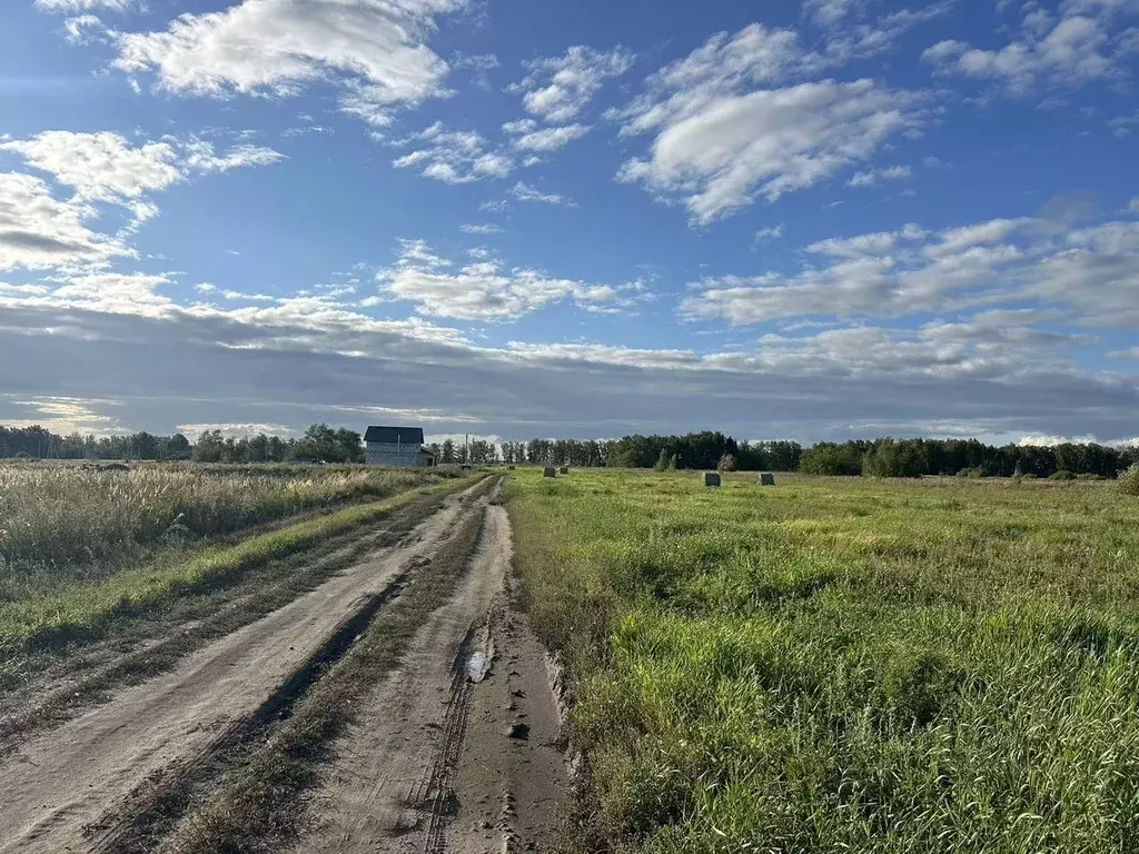 Участок в Омская область, Омский район, с. Розовка ул. Новая (12.0 ... - Фото 0
