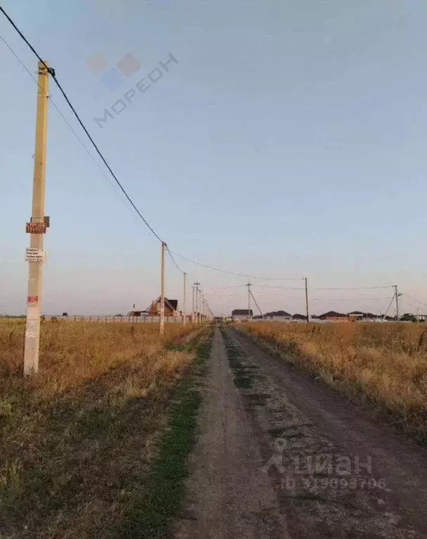 Участок, 8.1 сот., поселения (ижс) - Фото 0