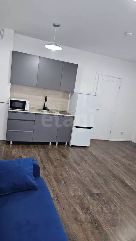 Студия Санкт-Петербург ул. Пахомовская, 22 (25.0 м) - Фото 1