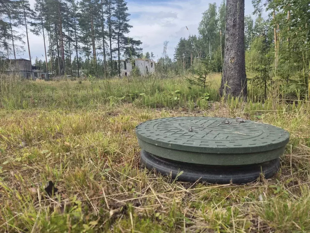 Участок в Ленинградская область, Выборгский район, Рощино городской ... - Фото 1