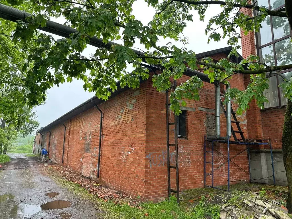 Помещение свободного назначения в Псковская область, Псков Крестовское ... - Фото 1