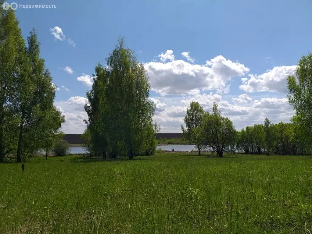 Участок в Венёвский округ, сельское поселение Центральное, деревня ... - Фото 1