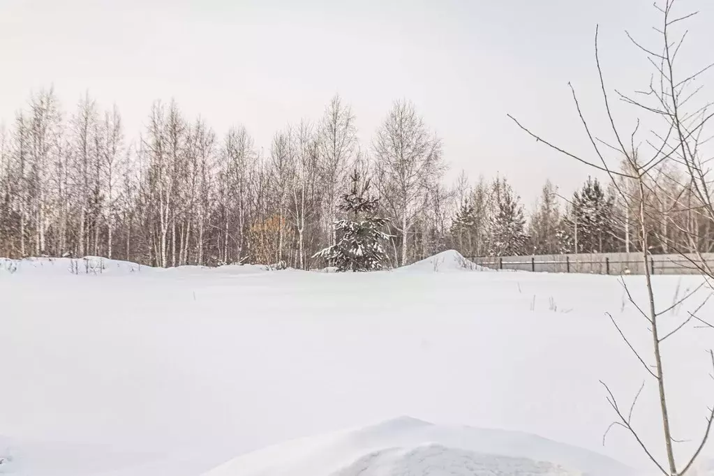 Участок в Новосибирская область, Бердск ул. Дивная (9.19 сот.) - Фото 1