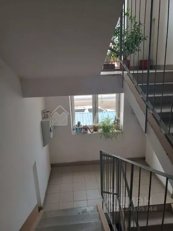 1-к кв. Омская область, Омск ул. Конева, 44 (34.8 м) - Фото 2