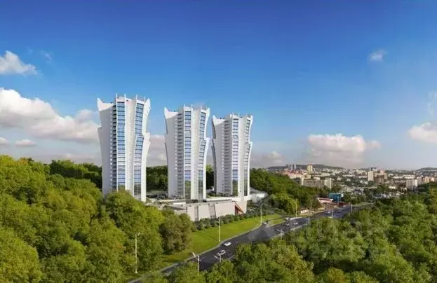 2-к кв. Приморский край, Владивосток Лесная ул., 1В/1 (88.9 м) - Фото 2