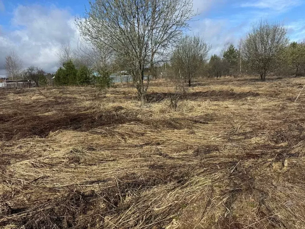 Участок в Московская область, Богородский городской округ, д. Черново  ... - Фото 2