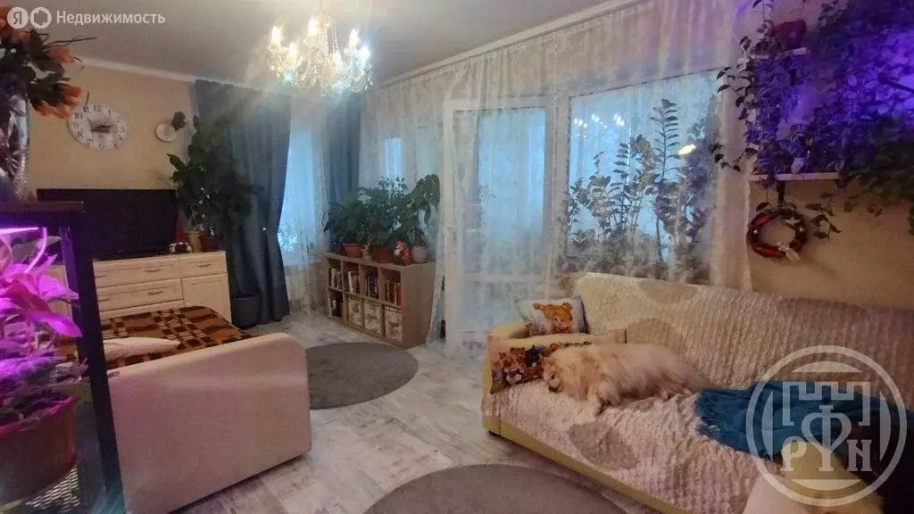 1-комнатная квартира: Мистолово, Горная улица, 17к5 (38 м) - Фото 1