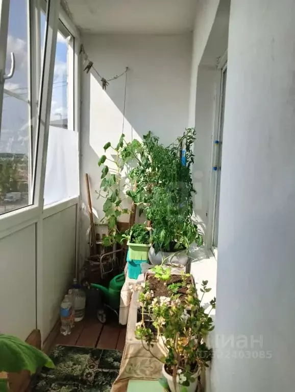 2-к кв. Удмуртия, Можга Можгинский район, ул. Дружбы, 21 (46.1 м) - Фото 1