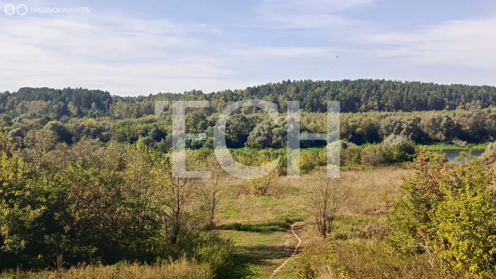 Участок в Тульская область, городской округ Алексин, село Бунырево (15 ... - Фото 2