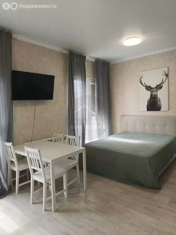 Квартира-студия: село Варваровка, улица Калинина, 150к3 (32 м) - Фото 0