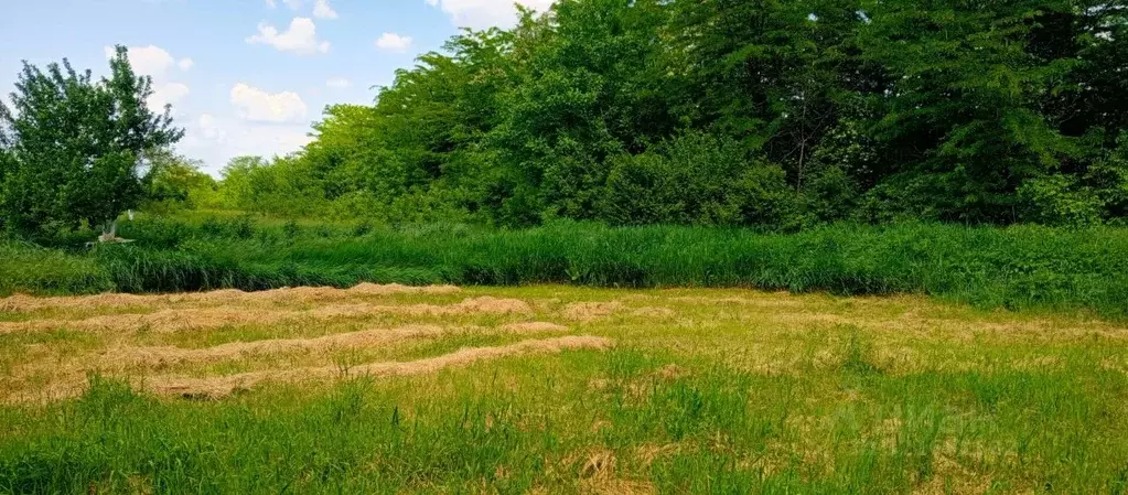 Участок в Краснодарский край, Северский район, Михайловское с/пос, с. ... - Фото 1