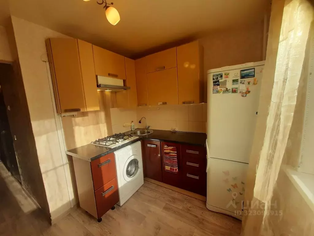 1-к кв. Костромская область, Кострома Рябиновый проезд, 18 (36.0 м) - Фото 2