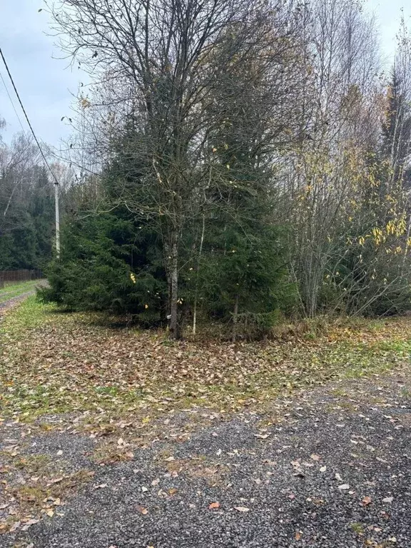 Участок в Московская область, Ступино городской округ, Карусель СНТ ... - Фото 1