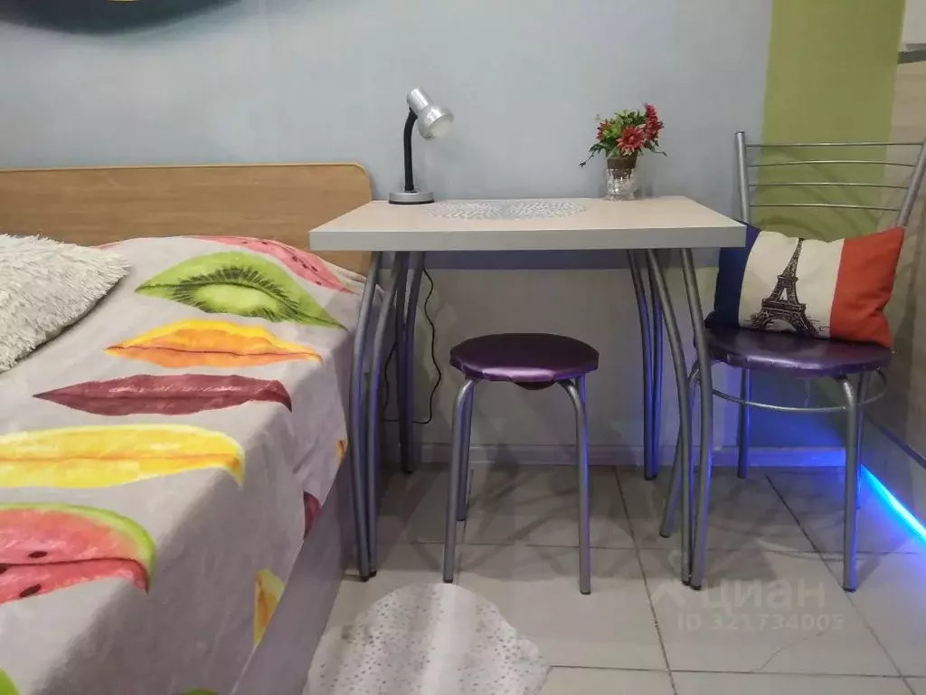 Студия Челябинская область, Челябинск ул. Либкнехта, 18 (16.0 м) - Фото 2