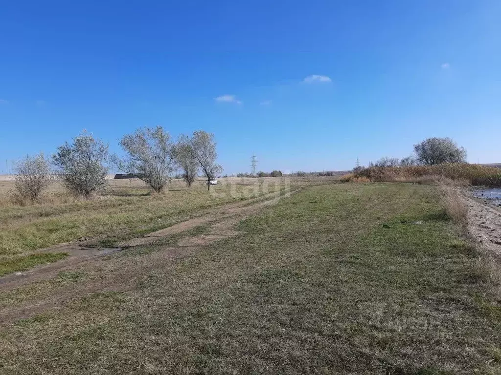 Участок в Крым, Сакский район, Штормовское с/пос, с. Поповка ул. Мира ... - Фото 1