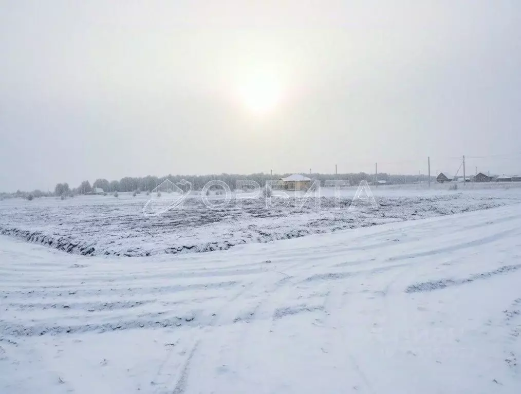 Участок в Тюменская область, Тюменский муниципальный округ, д. Елань ... - Фото 2