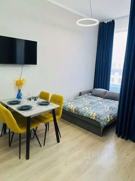 1-к кв. Санкт-Петербург пос. Шушары, ул. Нины Петровой, 8к1 (27.0 м) - Фото 1