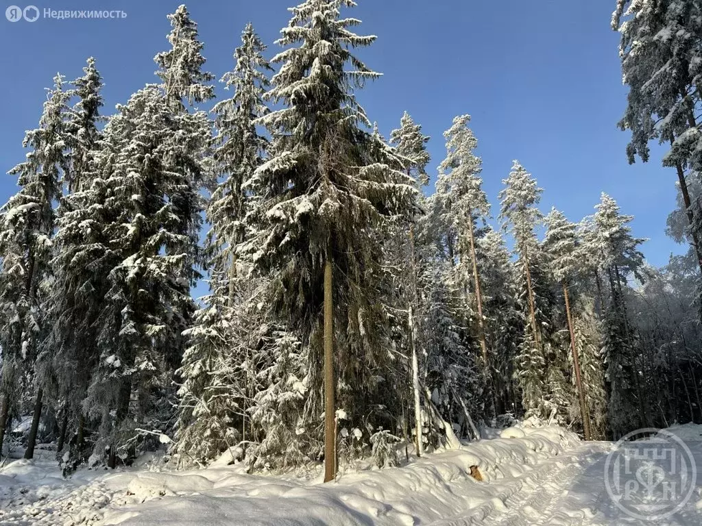 Участок в Сертолово, СНТ Медное Озеро-3 (10 м) - Фото 1