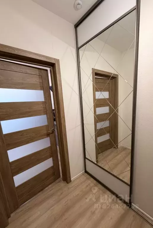 Студия Санкт-Петербург аллея Евгения Шварца, 14 (30.1 м) - Фото 2