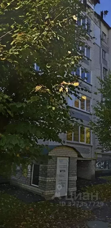 Помещение свободного назначения в Владимирская область, Кольчугино ... - Фото 1