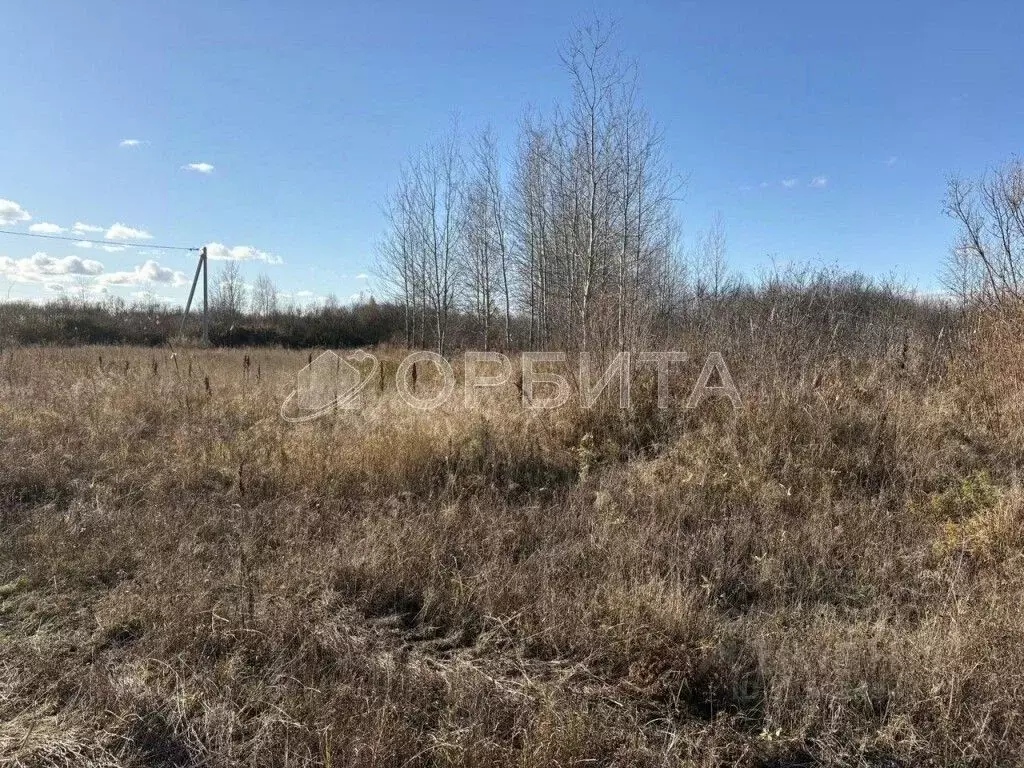 Участок в Тюменская область, Тюменский муниципальный округ, ... - Фото 2
