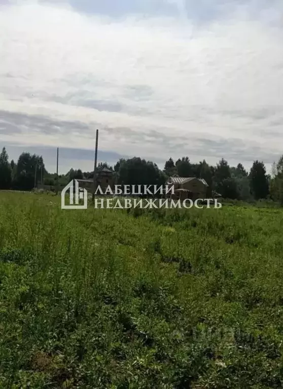 Участок в Тверская область, Конаковский муниципальный округ, с. ... - Фото 2