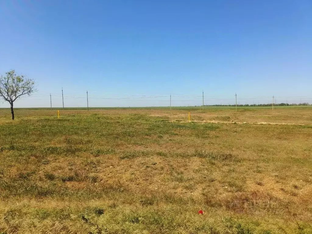 Участок в Крым, Кировский район, с. Приветное ул. Октябрьская, 12 ... - Фото 1