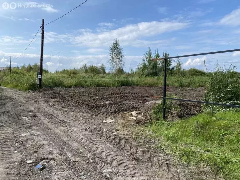 Участок в Тюменская область, Ялуторовский муниципальный округ, ... - Фото 1